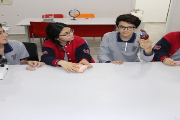 Beyoğlu Koleji - Ortaokul & Anadolu Lisesi